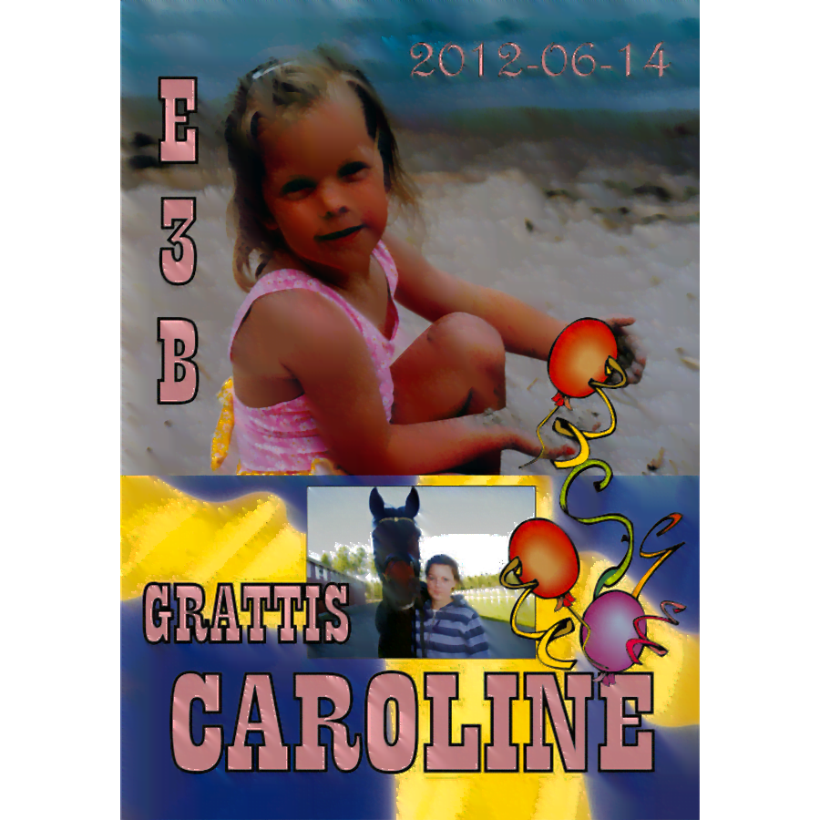 Studentskylt Caroline